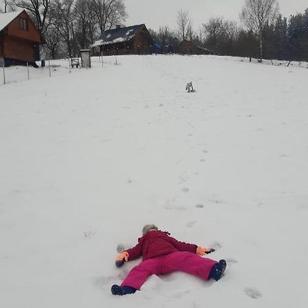 Przytulne Na Poddaszu Еленя-Гура Экстерьер фото
